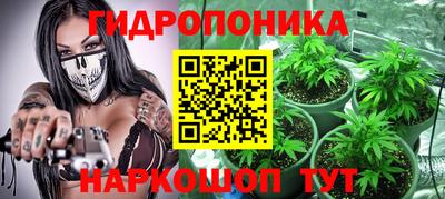 шишки Комсомольск-на-Амуре