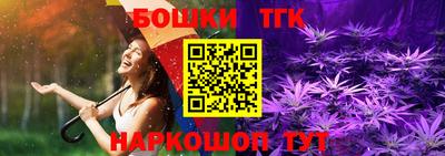 индика Коммунар