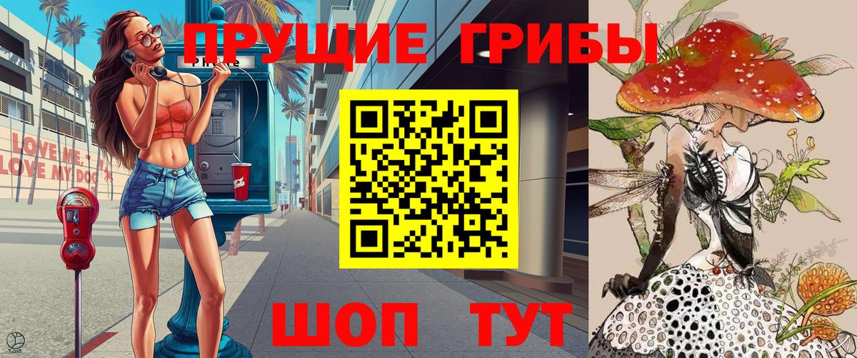 Гусев  Псилоцибиновые грибы мицелий  Вход с VPN  Псилоцибиновые грибы Psilocybe 